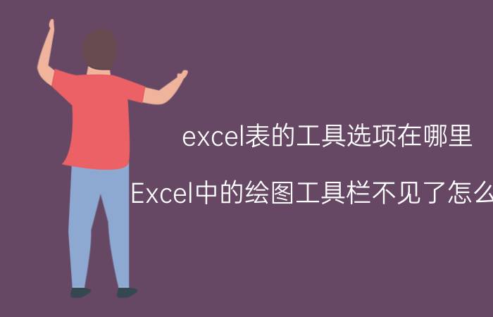 excel表的工具选项在哪里 Excel中的绘图工具栏不见了怎么办？